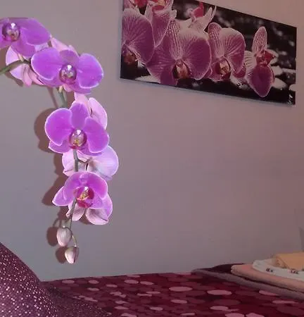 Bed and breakfast Interno 8