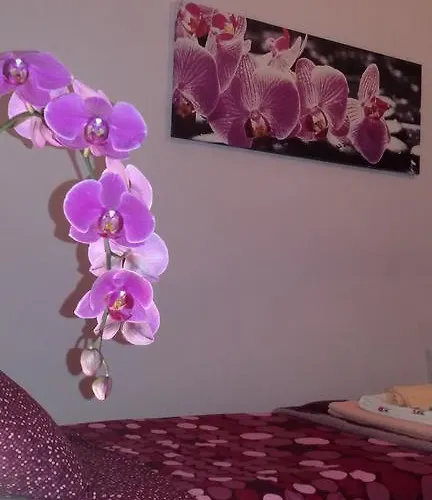 Bed & Breakfast Interno 8